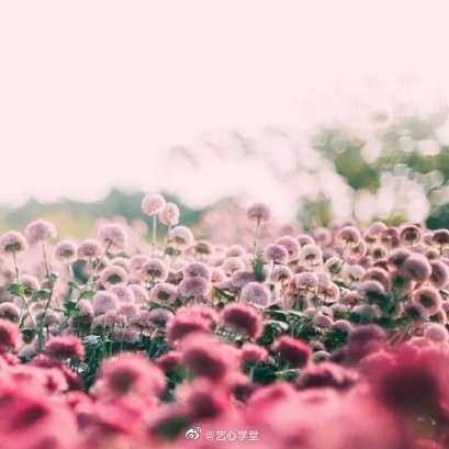水逆退散  公益救援在行动1２星座的胡言恋语白羊座♈：失恋就似感冒金牛座♉：心痛
