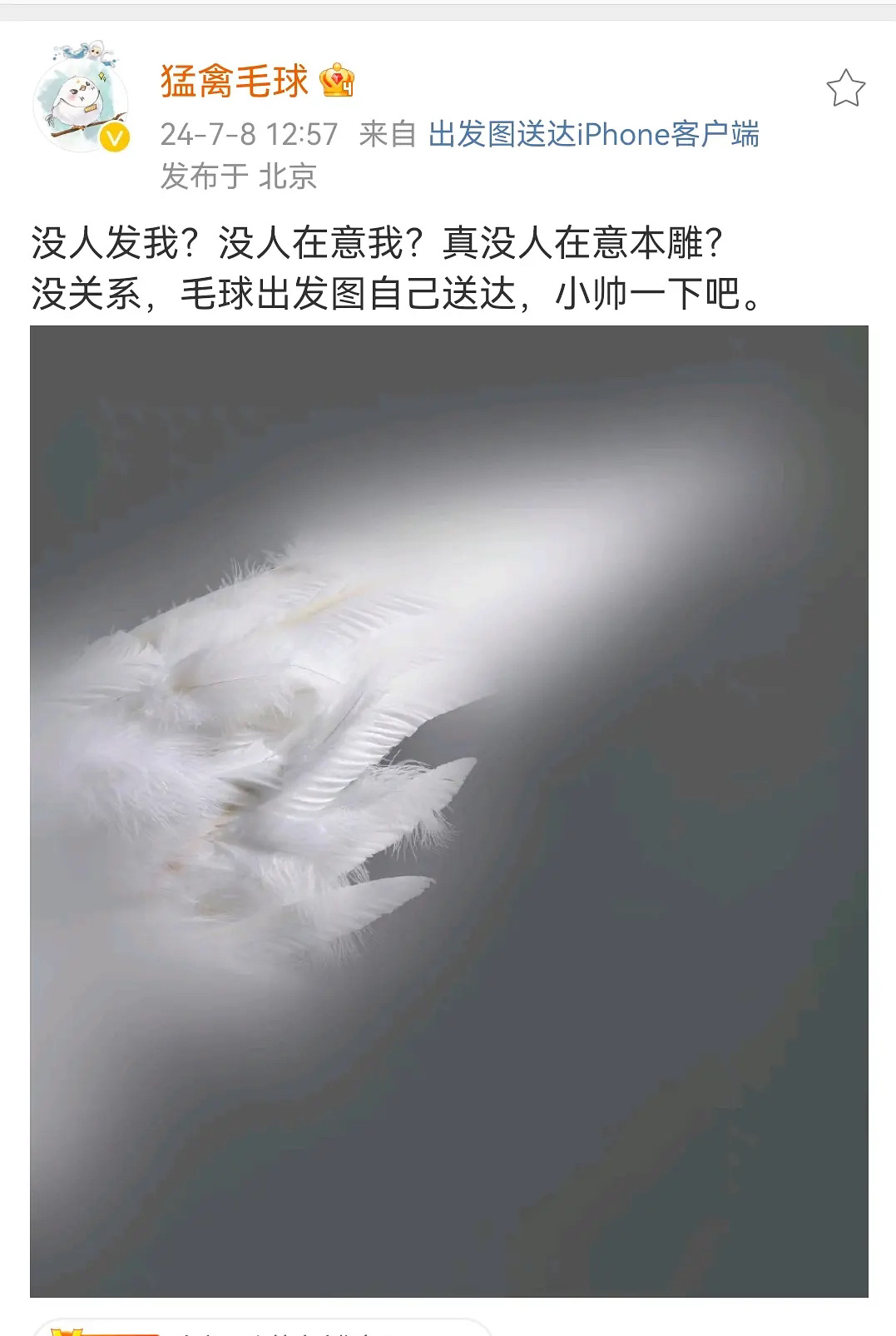 #长相思#哈哈，毛球难道没人记得吗，真是个戏精😂你最后没有主人了… ​​​