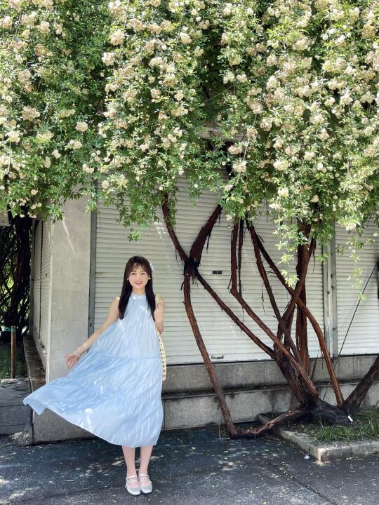 杭州信义坊木香花开啦🩵 𓂃 ˚‧ 𓆸