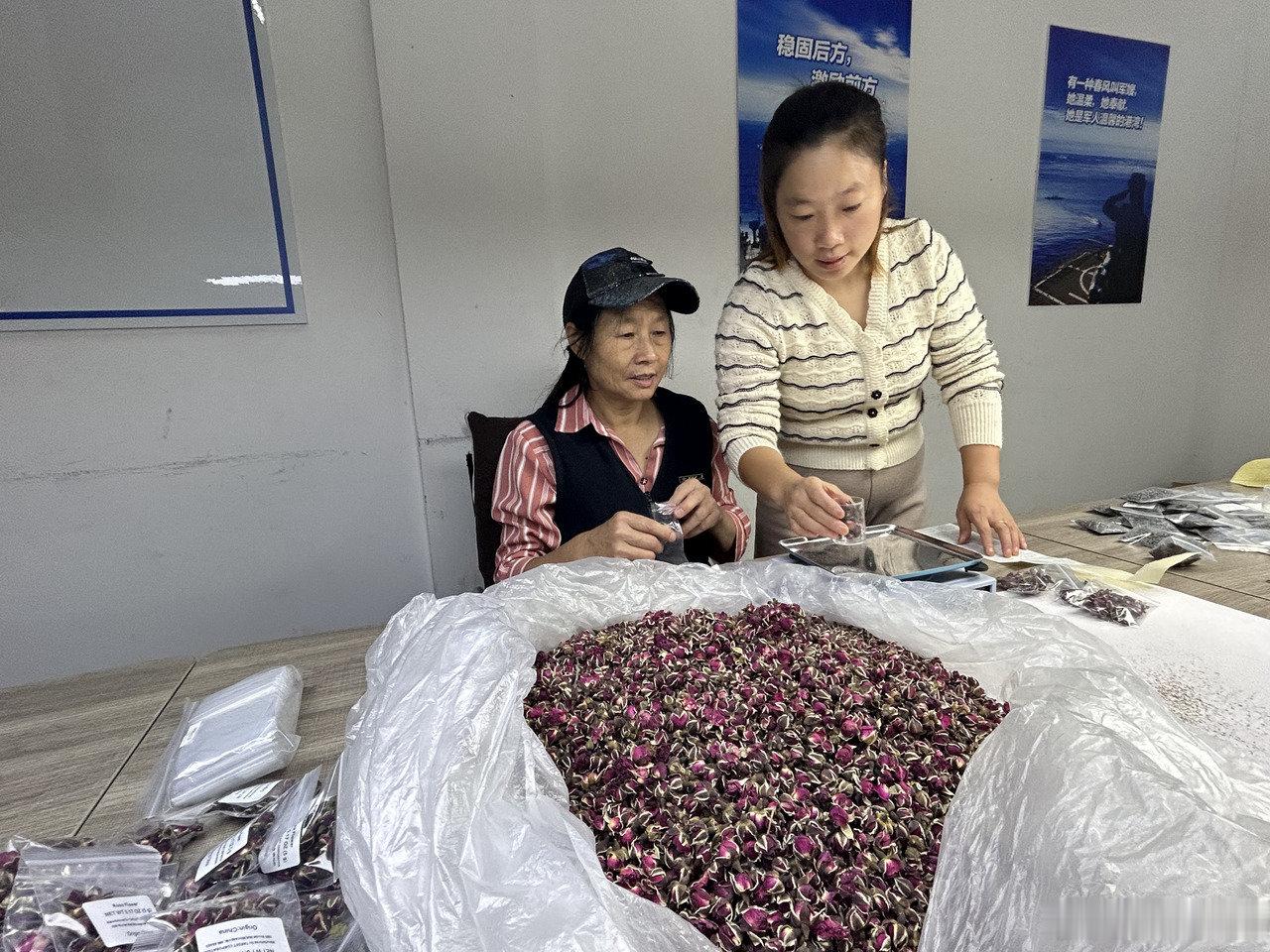 军嫂扎根宁波十年把宁波当成第二个家 军嫂薛海荣随军到宁波北仑大榭十年，初来时倍感