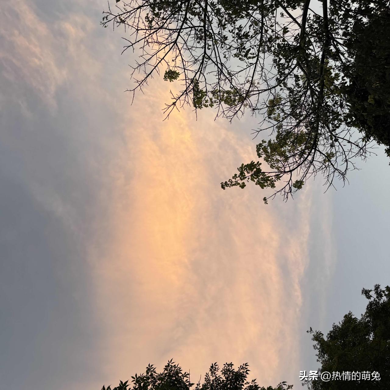 晒图笔记大赛