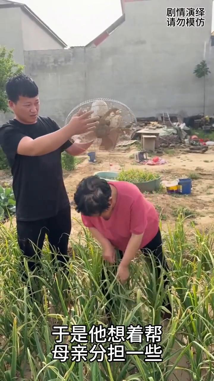 母亲大中午在摘蒜薹，旁边儿子拿着风扇帮忙吹风。
母亲在菜园摘蒜薹，儿子看到天气有