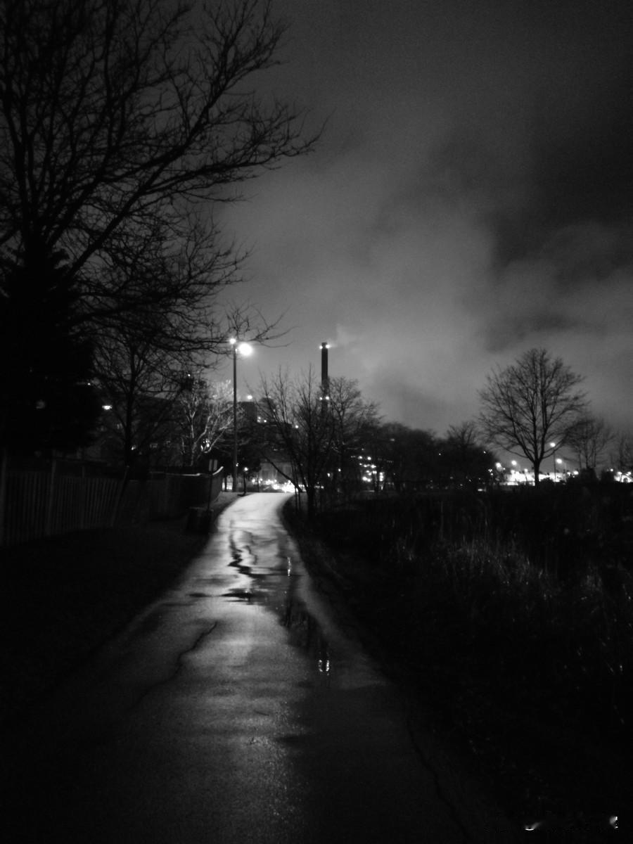 七律  雨夜遣怀

丙午春宵听漏长，一丝茶韵绕书堂。
檐前细雨敲清响，案上闲诗润