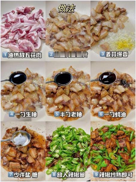 巨巨巨好吃的辣椒炒肉😋香到邻居来敲门。我的宝藏食谱