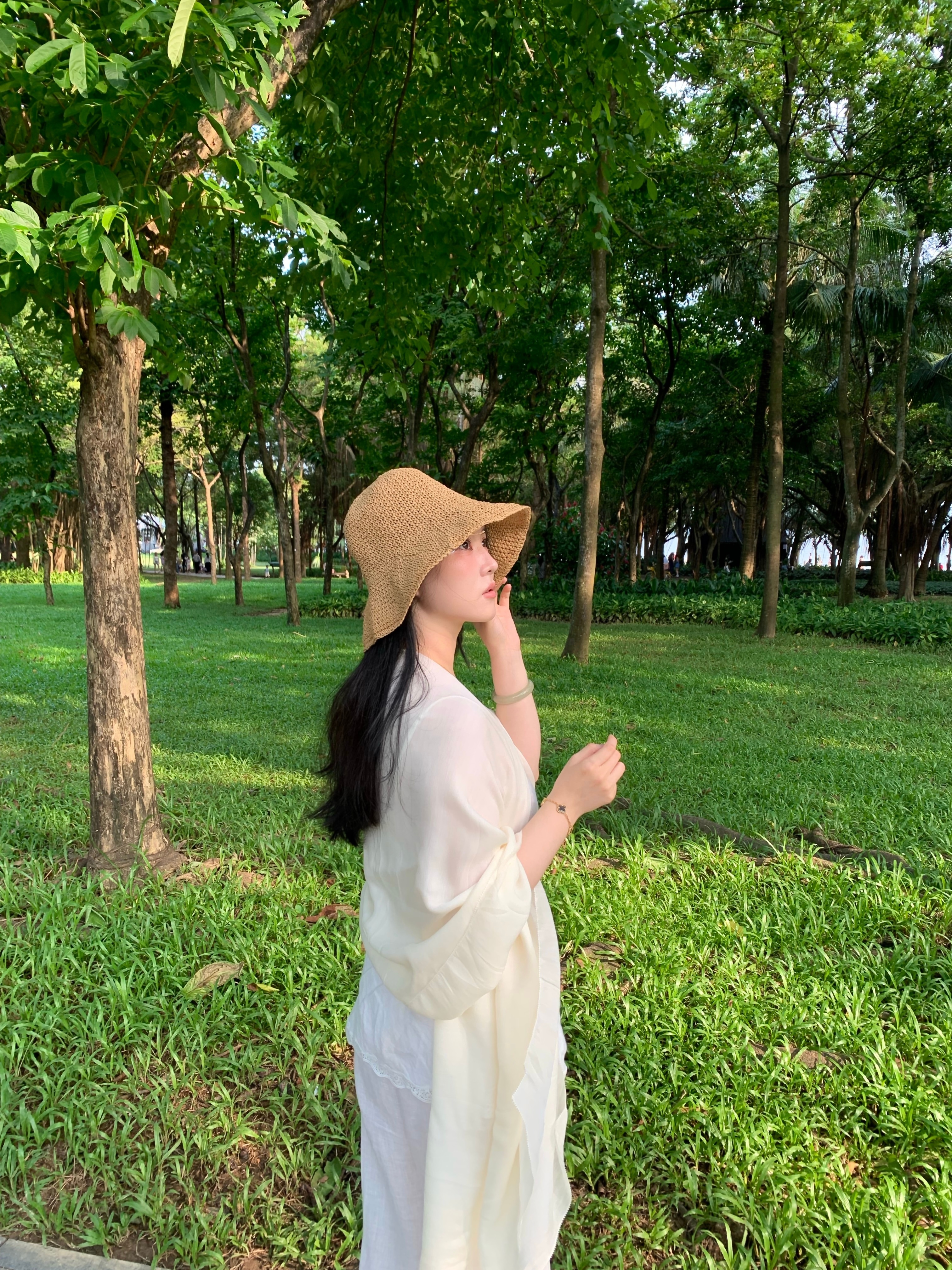 ☀️🌿 深圳