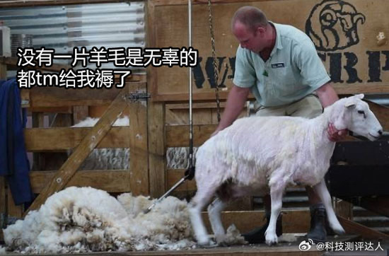 #天猫双11华为手机至高优惠两千#这哪里是薅羊毛，这是要把整只羊的毛都拔完[do