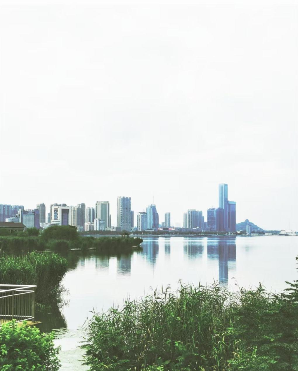 湖水把城市的钢筋森林，晕成了温柔的倒影，岸边长青的草木，正替夏天，收藏着整座城的