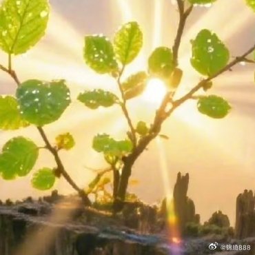 每日一善 入行或早或晚，方向对了就不怕路远。靠近优秀的人，一起走更远。 