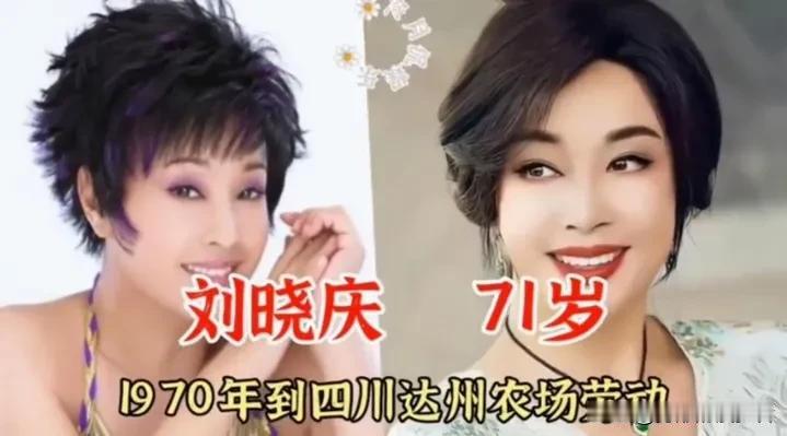 十三位家喻户晓的老艺术家，年轻时都曾奔赴乡野下乡插队，做过知青。葛优在公社以养猪
