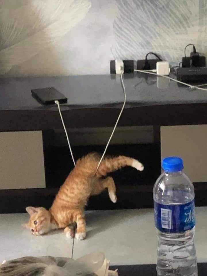− ​​​
