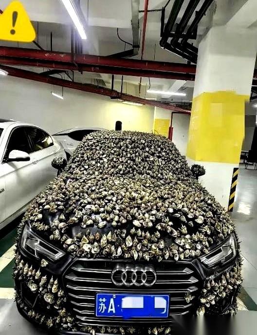 自家花十几万买的车位，一回家，上面停了辆陌生的白车。
没留电话，没贴条。车主想着