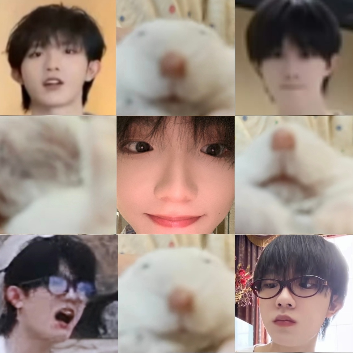 【10186】吱吱吱！ 