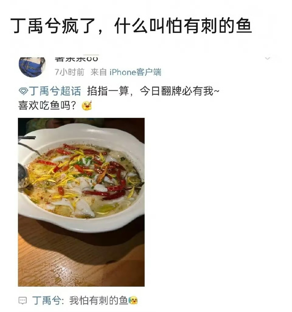 丁禹兮回复粉丝这条“我怕有刺的鱼”被网友审判了这？？ 