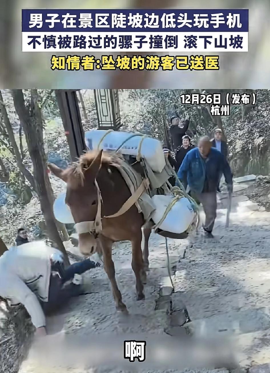 杭州一男子在景区上坡时顾着低头玩手机，不慎被旁边一名大爷牵着的骡子身上的行李撞倒