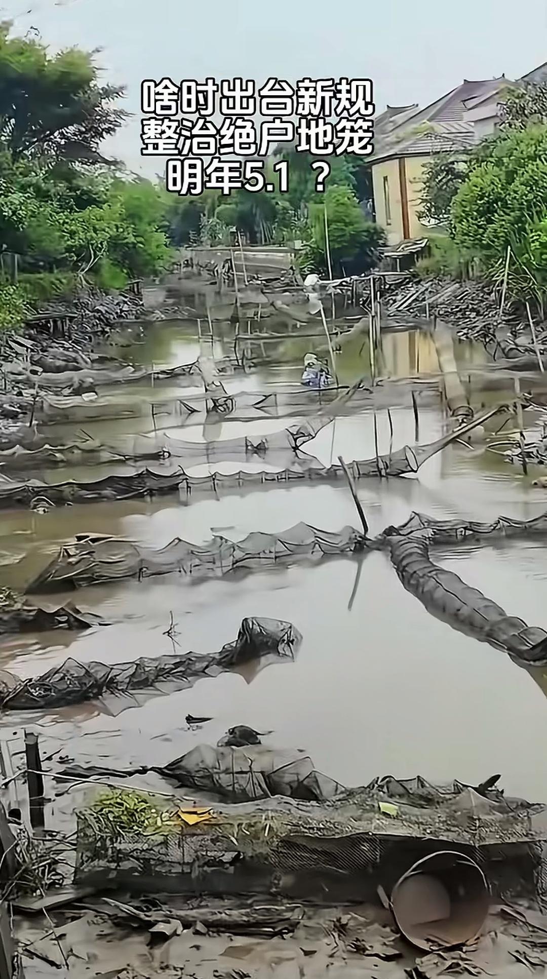 一条小沟渠竟用了这么多地笼，这是要让鱼断子绝孙吗？
若不是小沟渠的水干涸了，还真