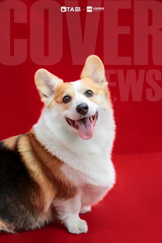 咪姐的封面大片