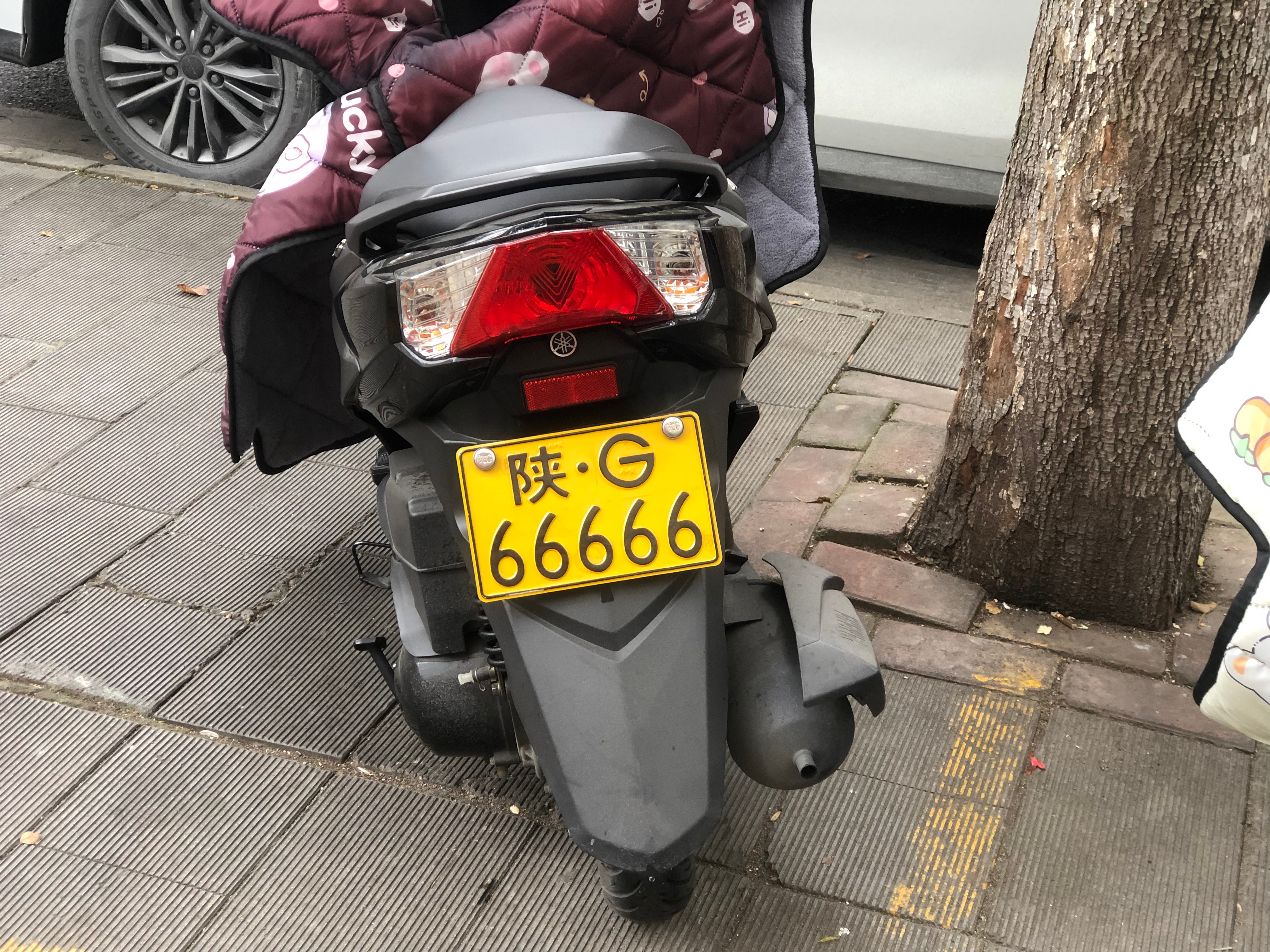 陕G66666雅马哈 