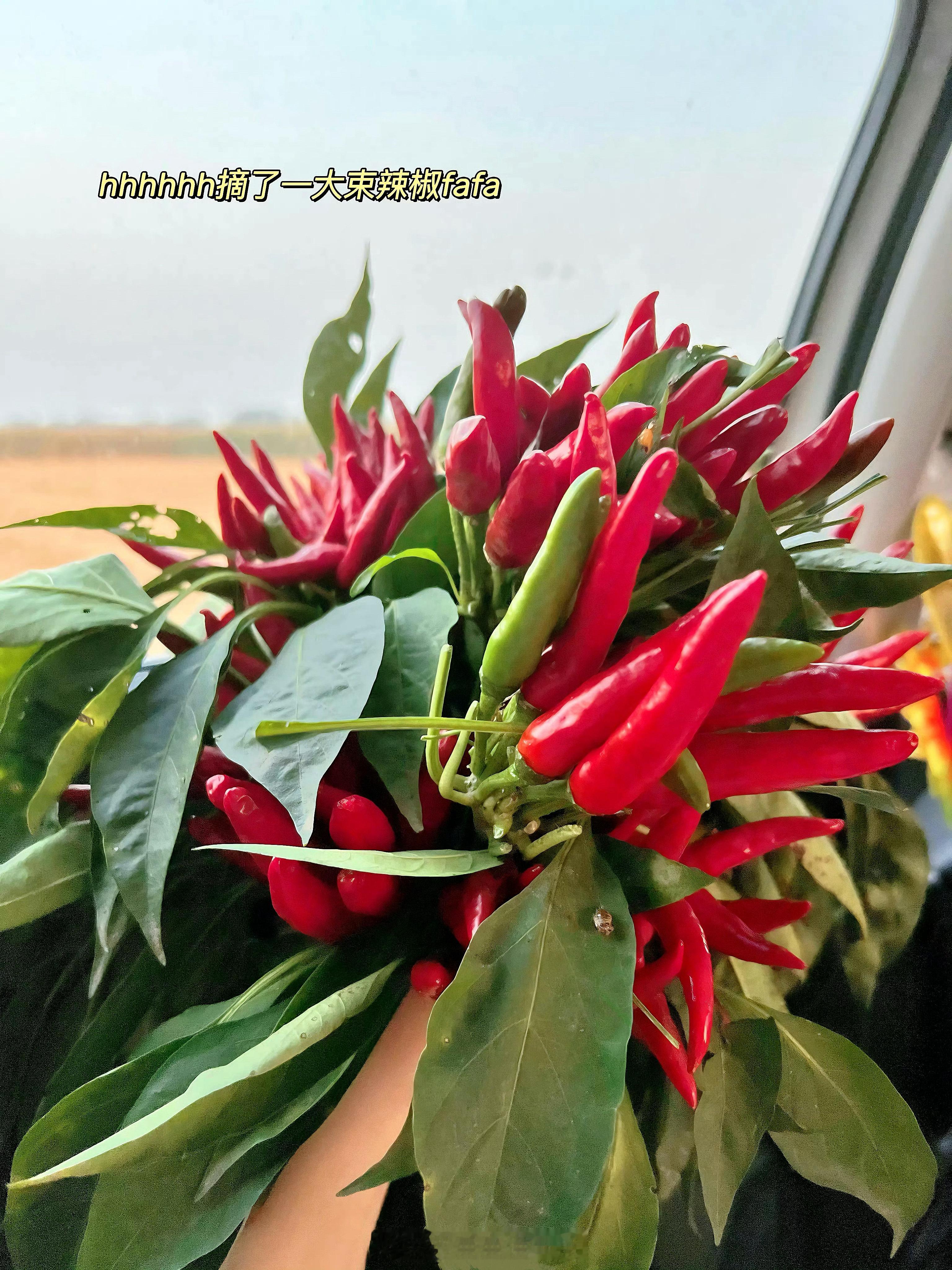 人真的离不开大自然啊～户外一旦开始，很轻易就会爱上🥰这周末久违的晴天+高温（近