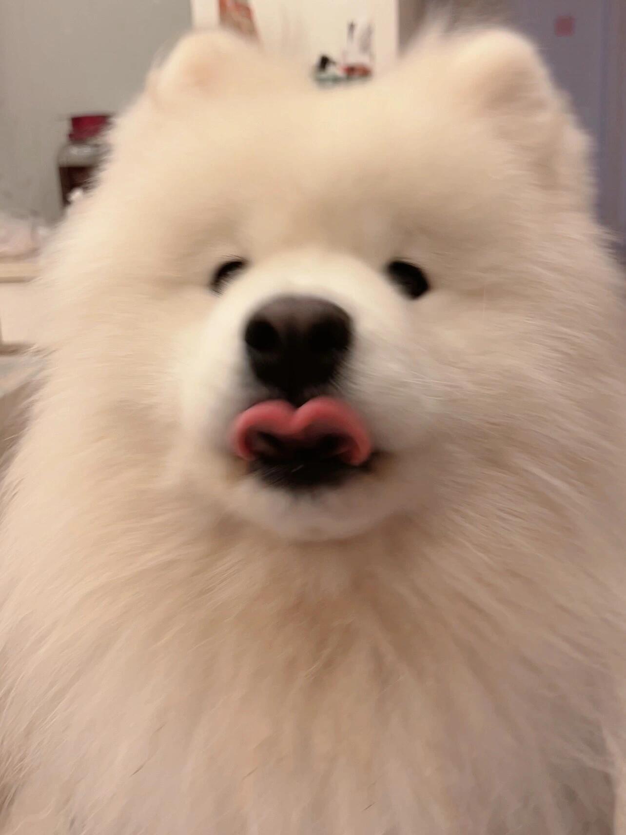 吐个舌头都是爱你的形状 