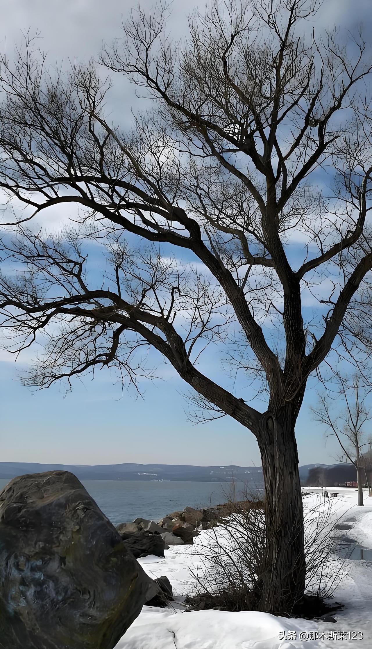上联:风拂塞北千枝瘦(头条)
下联:雨润江南万叶肥(平台)
(网图侵删)