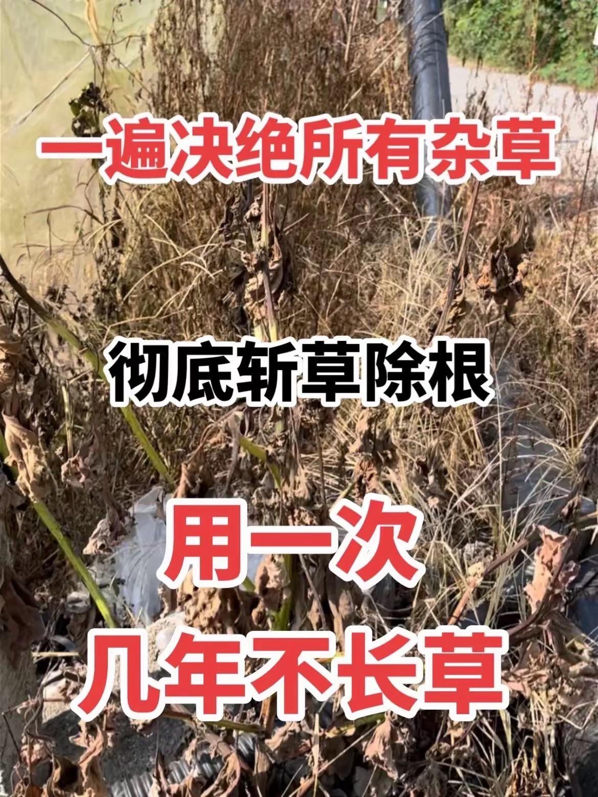 几年不长草的除草剂，农田耕地禁止使用，主要用于公路两旁房前屋后机场铁路等区域除杂