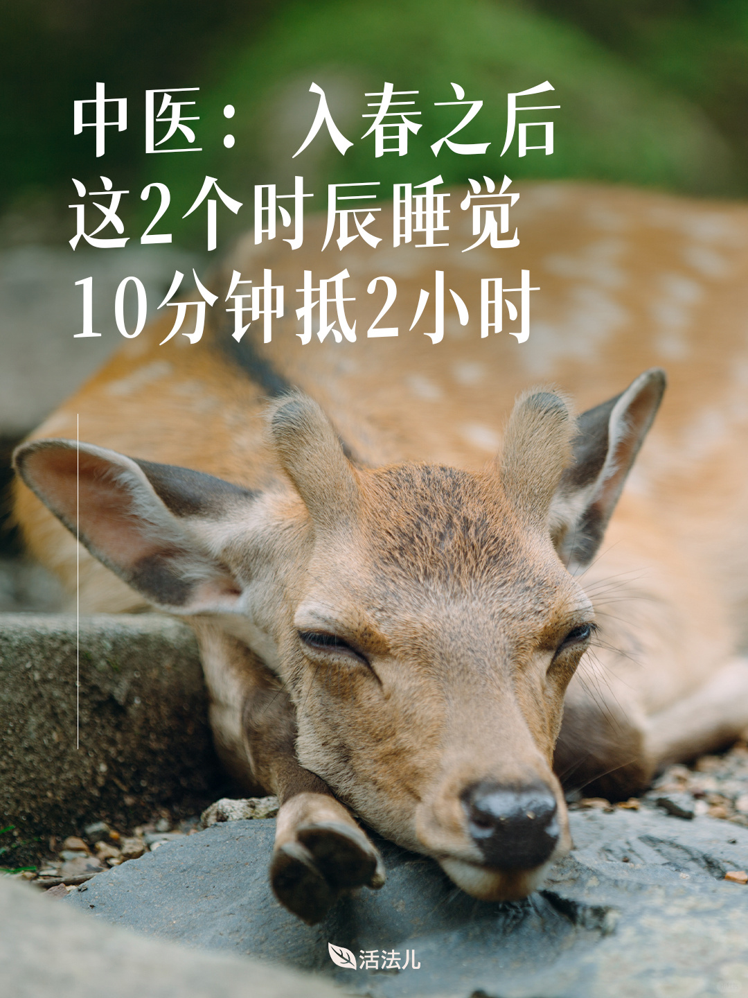 中医：春天这2个时辰睡觉，10分钟抵2小时