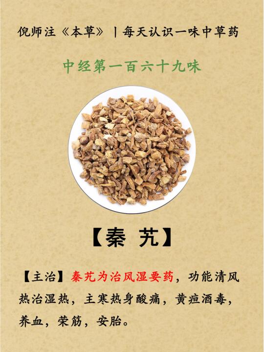 治风shi要药丨中经第169-秦艽