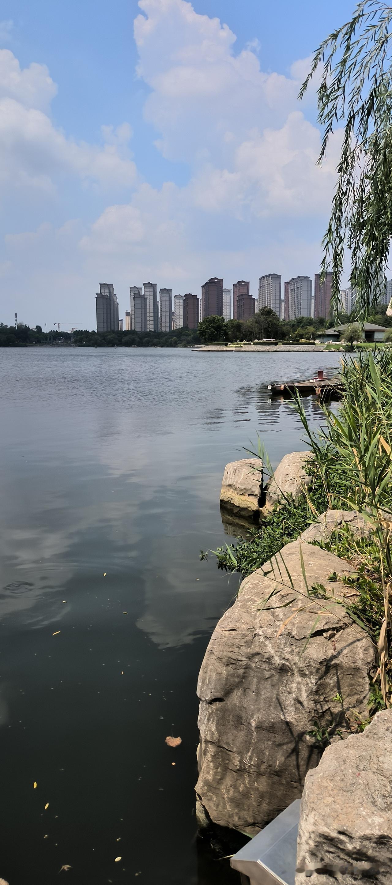 分房睡十五载
同吃一锅饭菜
钱财各自掌管
多少中年夫妻
活成最熟的室友
一位中年