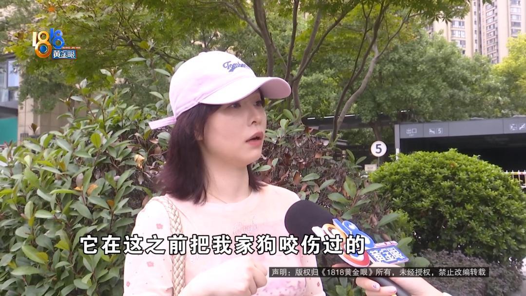 “这必须严惩！”浙江杭州，一女子牵着自家比熊犬在小区地库遛狗，突然冲出来一只没拴
