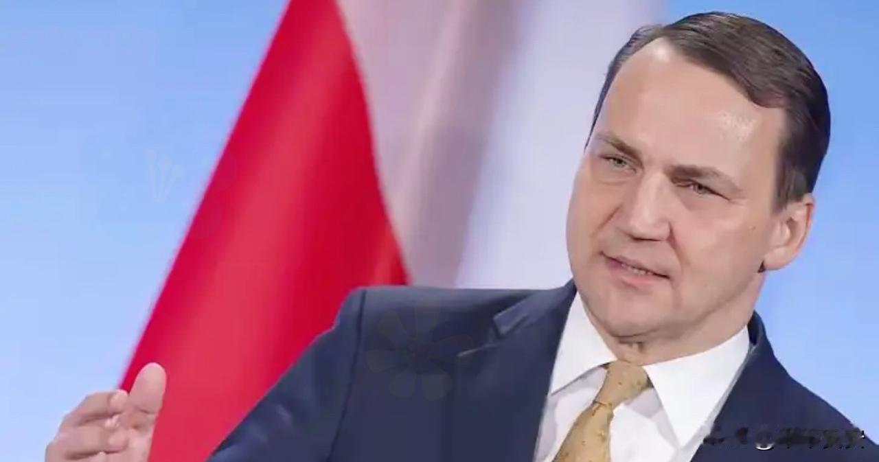 波兰副总理兼外长西科尔斯基在2026年2月13日慕尼黑安全会议上公开表示，俄乌冲