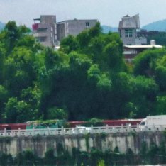 阳光信用 阳光 每日一善 生活是一场奇妙的旅程，值得我们感恩。清晨的第一缕阳光，
