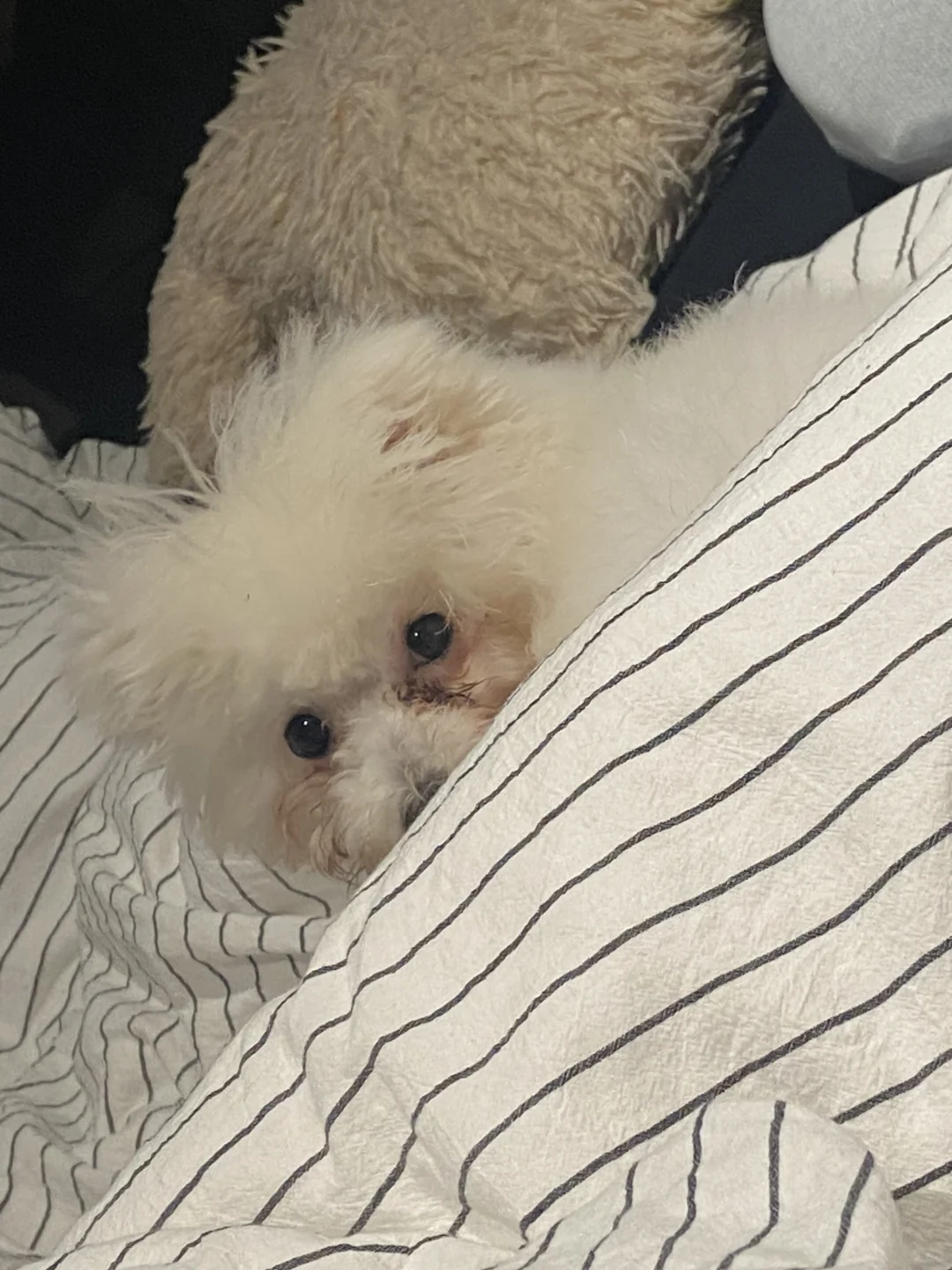 又是晚睡的一天