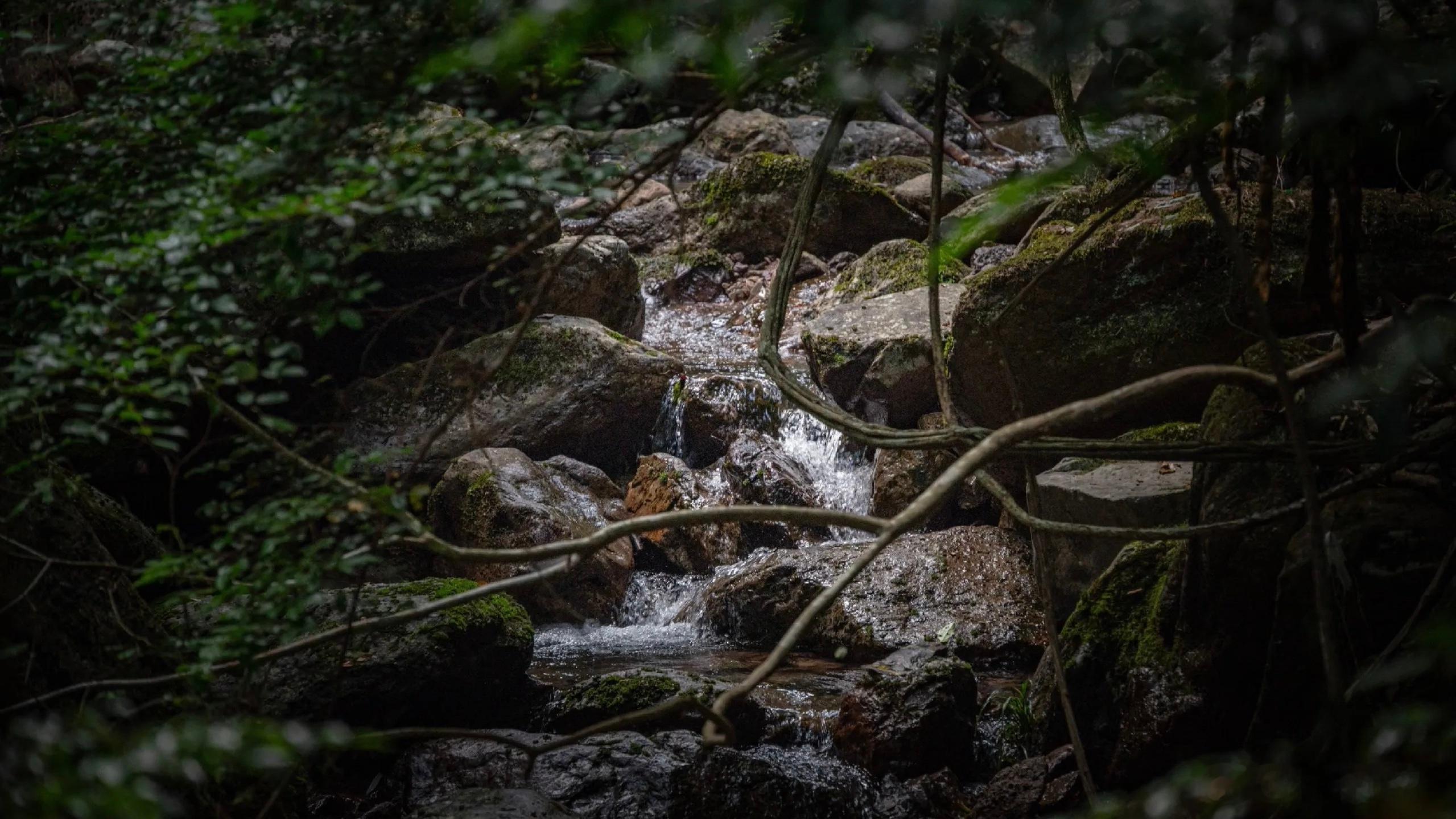 摄影 夏日专属清凉，山泉顺着石缝蜿蜒流淌，平缓处潭水澄澈通透，泛着清透翡翠色，水