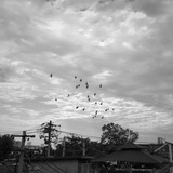 藕琪热逛体育