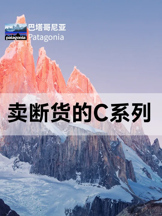 巴塔哥尼亚卖断货的C系列