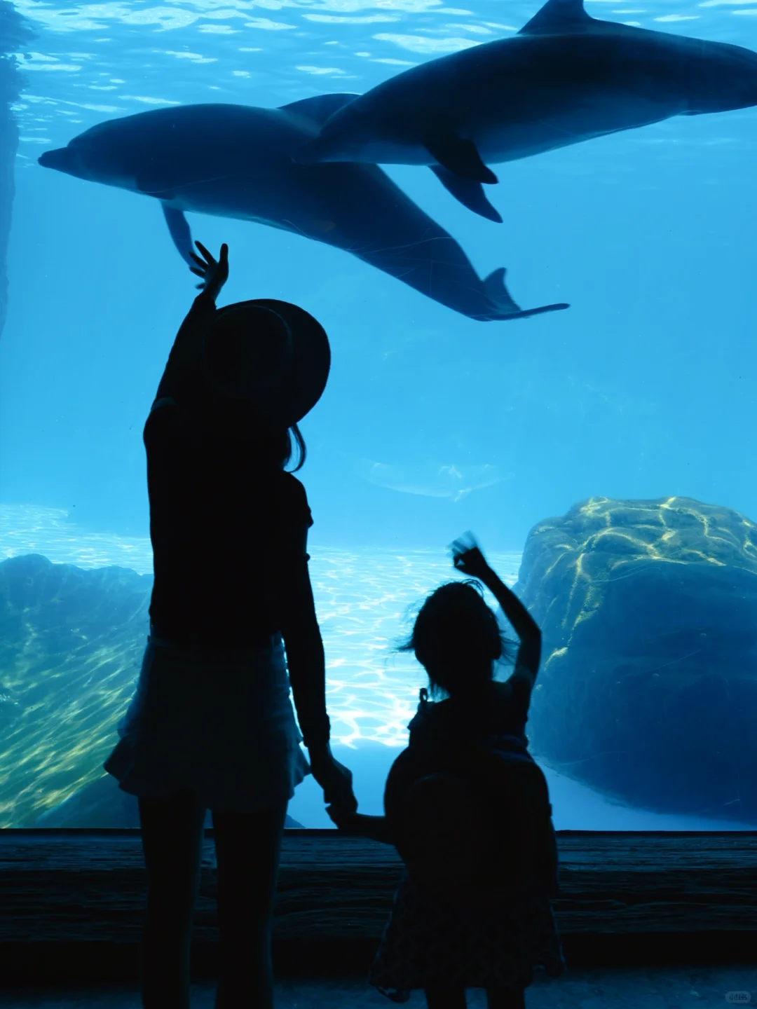 亲子海洋之旅🌊找到去海边的理由了