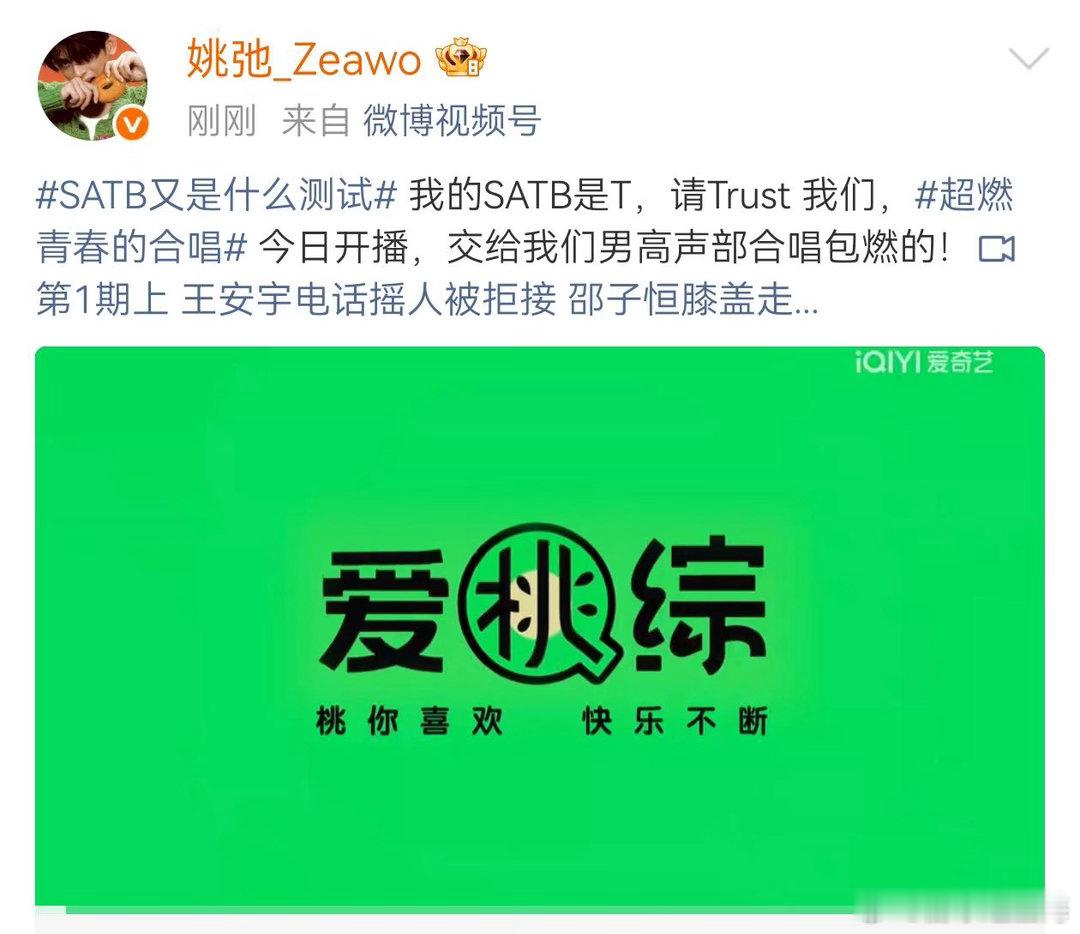 SATB又是什么测试  说实话没看懂这测试到底是测音域还是测性格，但既然大家都在