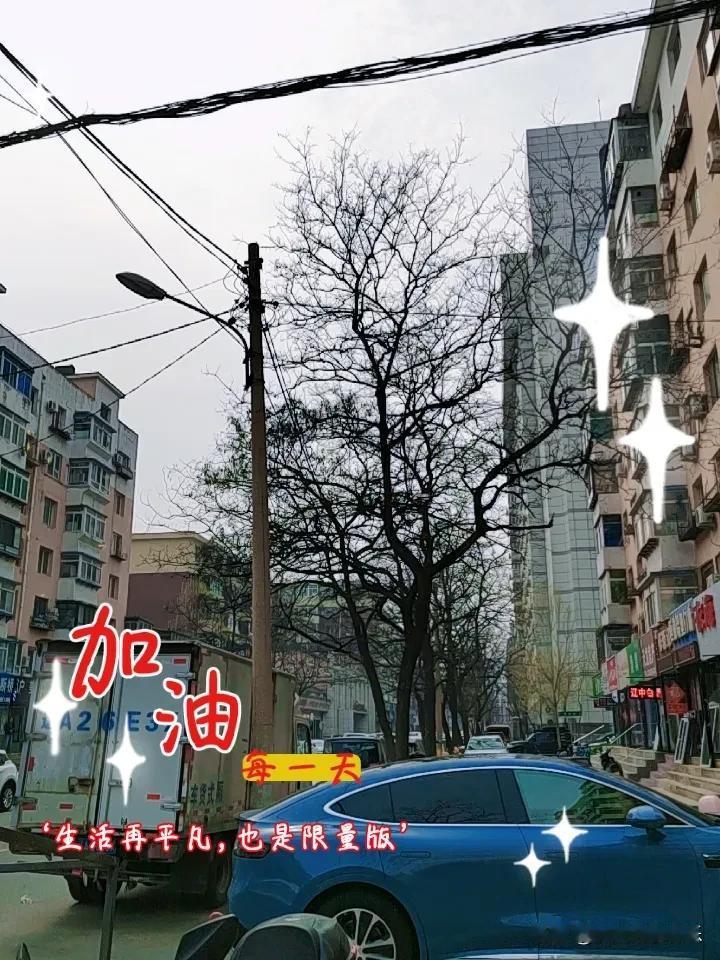 春日生活打卡季