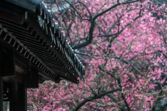 上联:雨藏踪迹梅花傲;
下联:风抚足痕柳眉飘。
我又对下联来了 我也对下联 你的