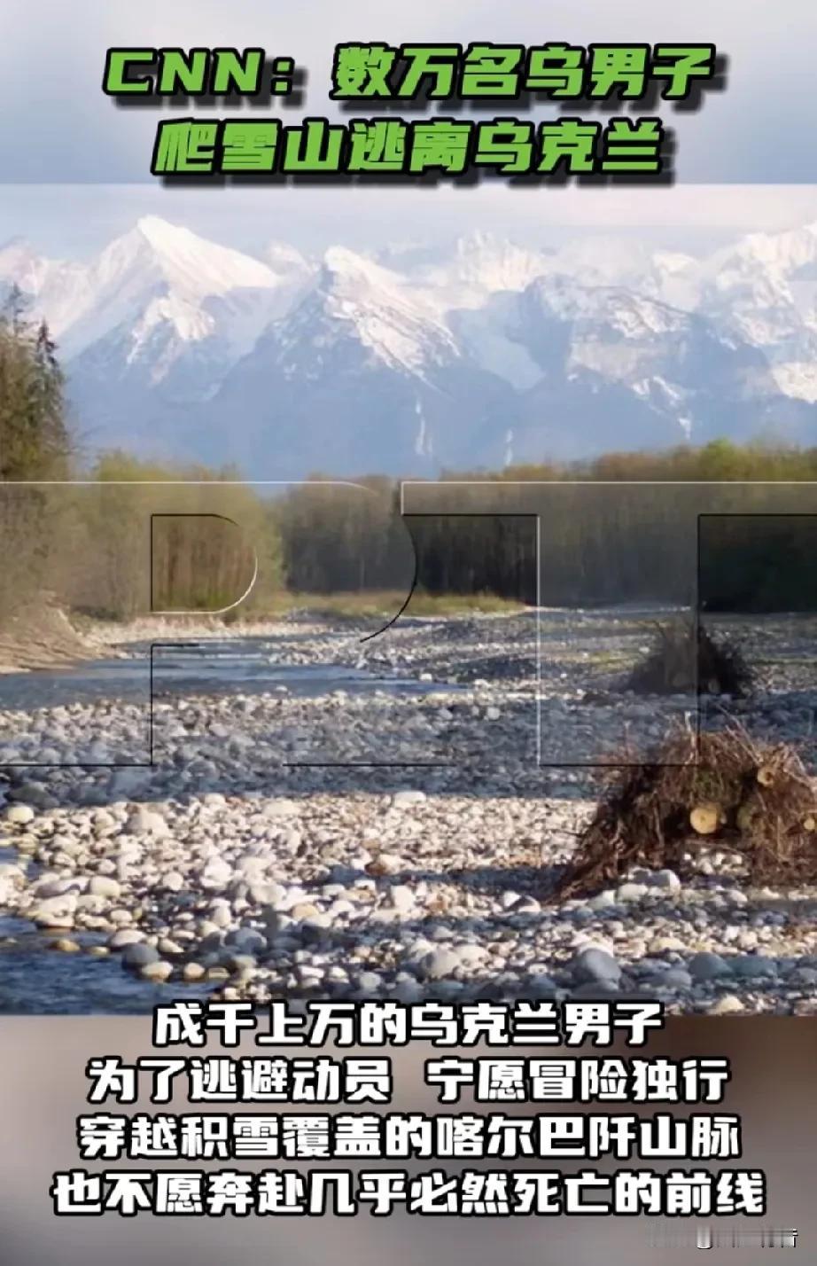 为躲避动员，成千上万的乌克兰男子宁愿爬雪山、钻隧道也要逃离乌克兰。

据美国有线