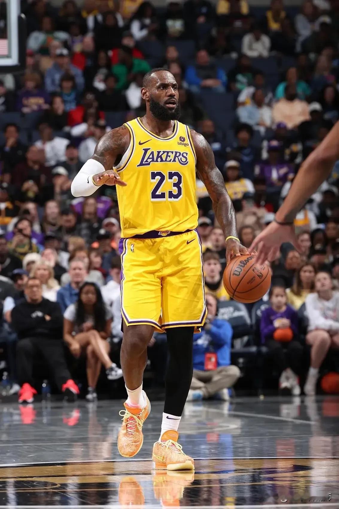 湖人本赛季可谓是大起大落，浓眉是湖人的基本盘，少了浓眉湖人就是联盟垫底的球队。不