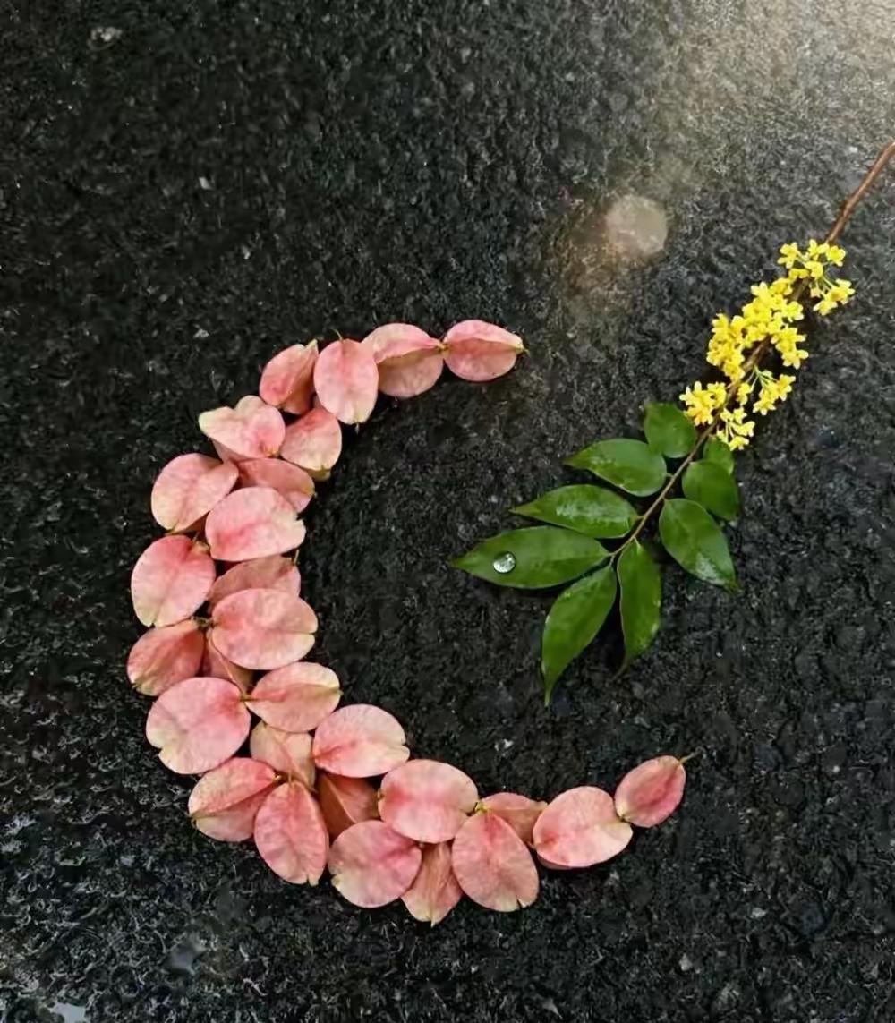 以为天天扎人堆里才叫过得好
你是不是也被这种想法骗了好多年
 
人到中年
到底要