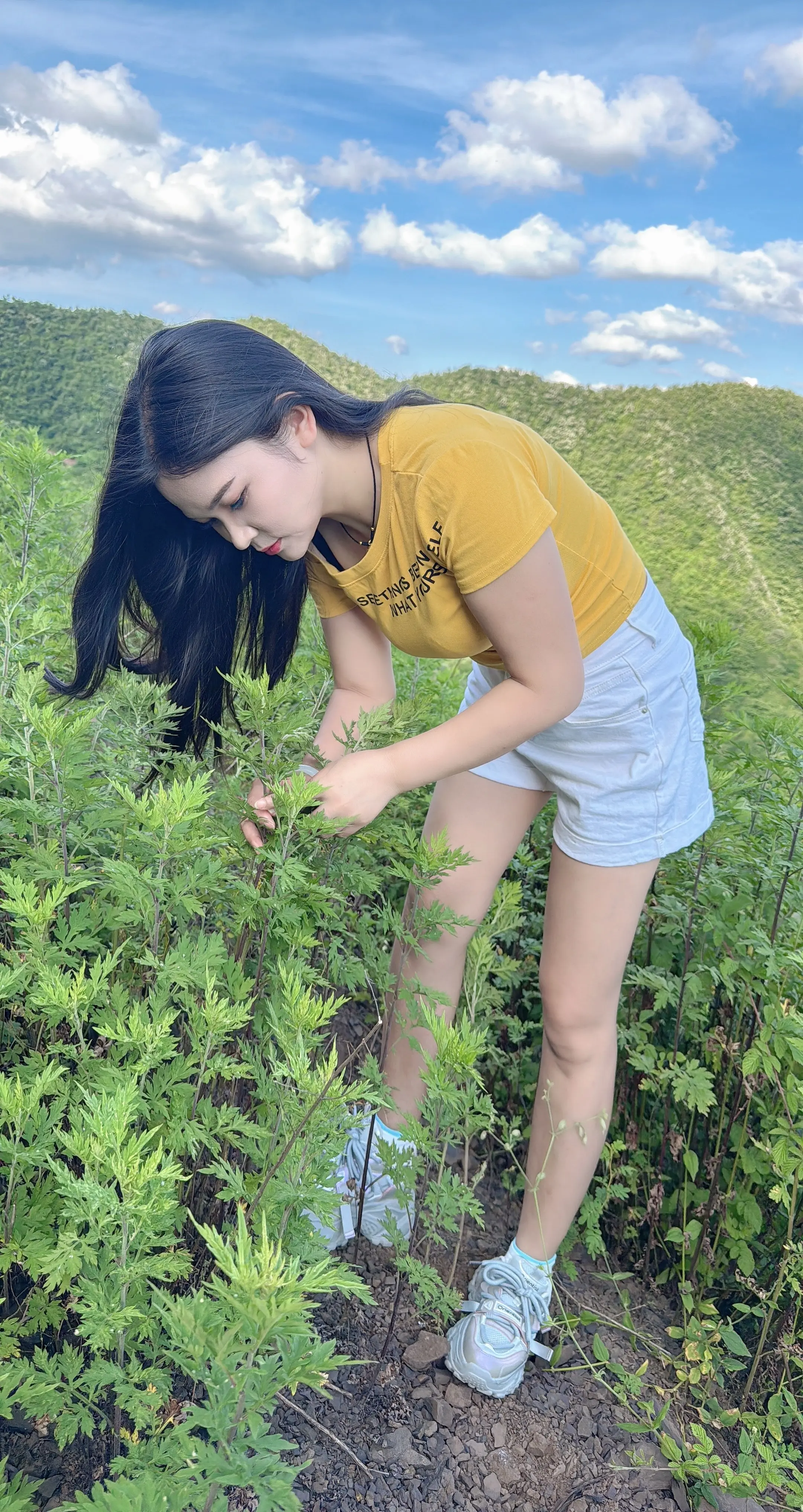 大山里的生活