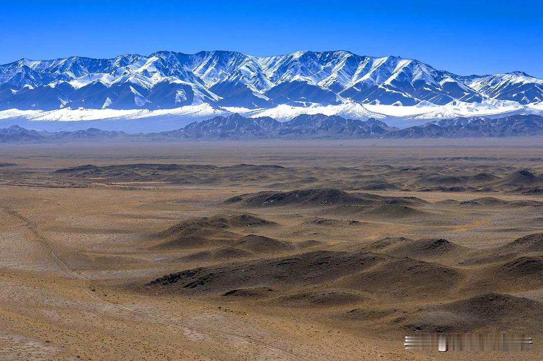 #秋日生活打卡季# 新疆无美景，新疆美景无处不在。
老两口2024新疆寻秋记完美