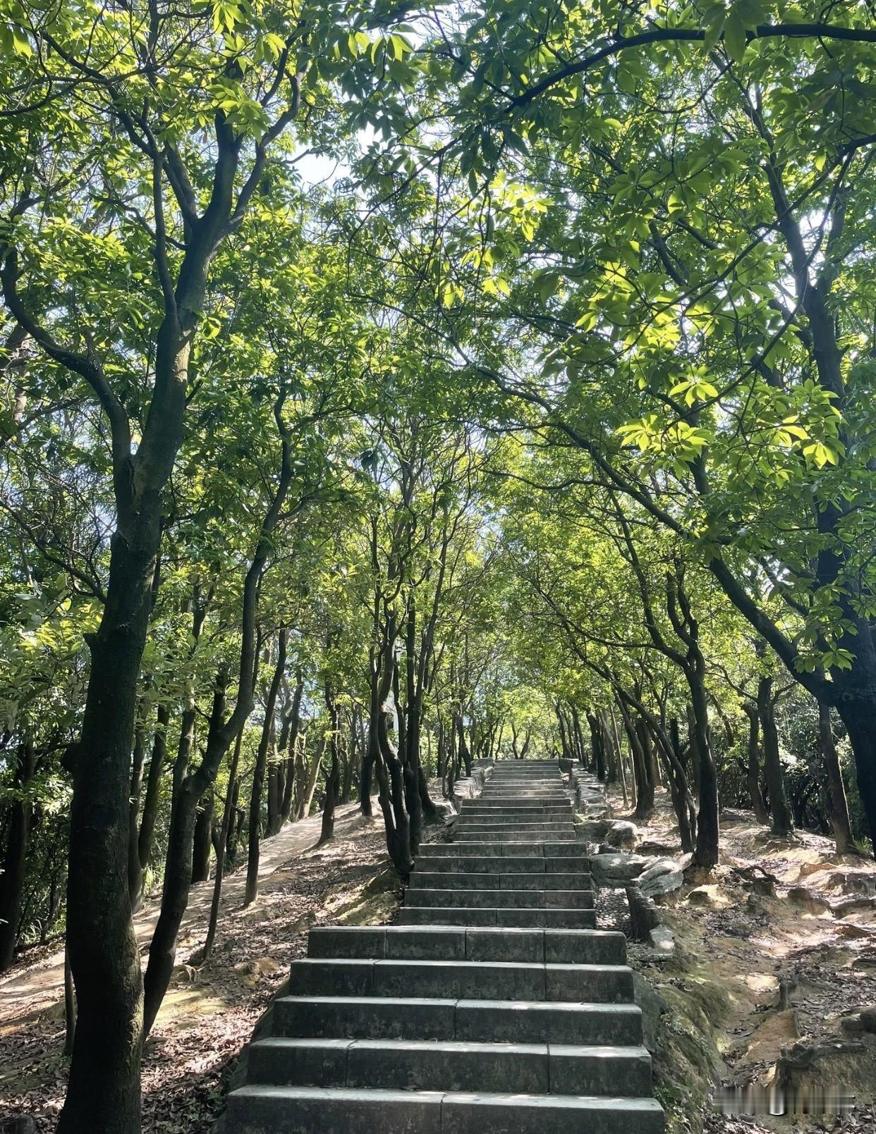 有份喜欢且不内耗的工作，下班能跟三五好友撸个串儿吐吐槽。家人健康，偶尔拌嘴但转眼