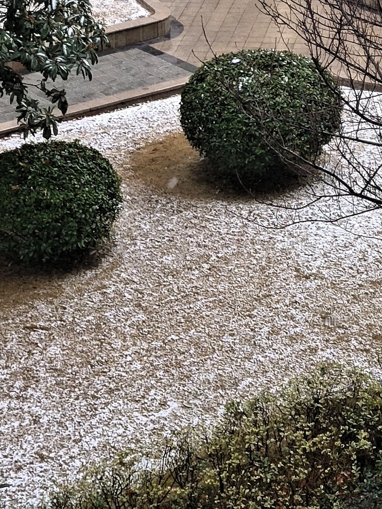 新年第一场雪，下在元旦这一天，虽然不大，也足够让孩子们开心了，早上看到楼下的孩子