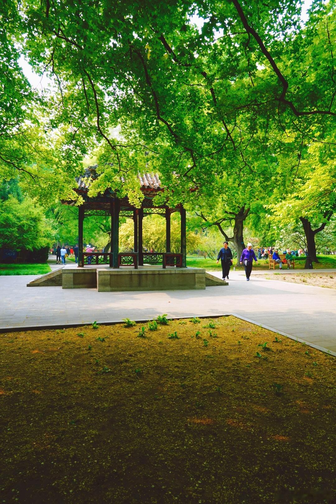 北京地坛公园摄影​​​