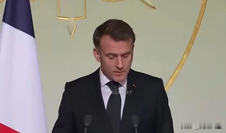 法国总统马克龙:“没有犹太人的法国，就像一棵没有枝干的树。”

这棵树用希伯来语