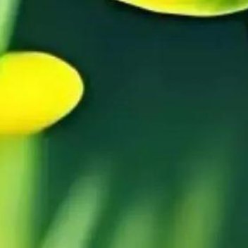 正能量生活的意义，是领悟与把握， 人生的取捨，是承担与放下， 自在的心灵，是简单