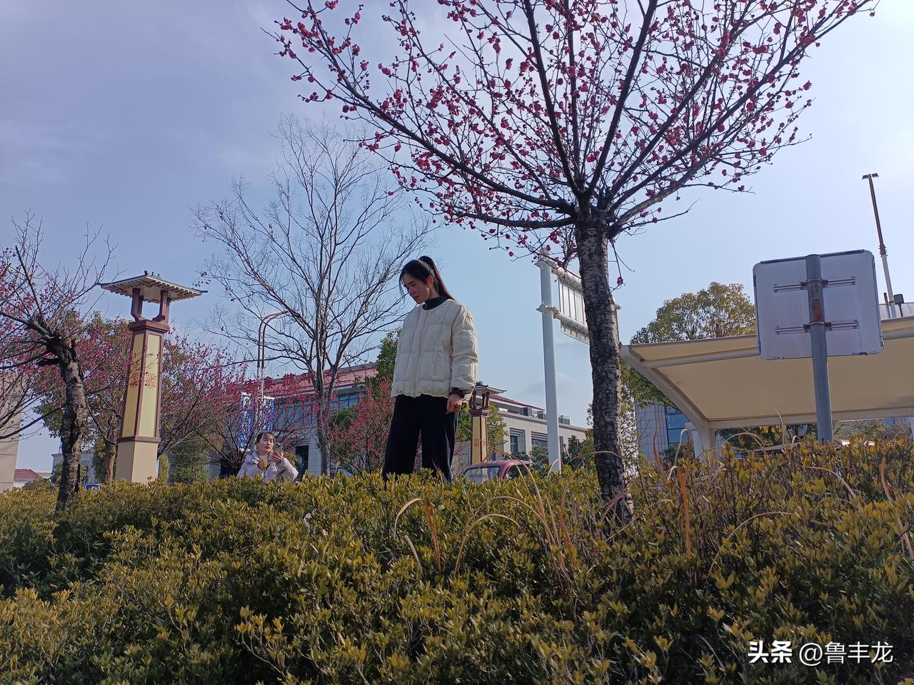 人过半生，最深的感悟往往沉淀于时光的褶皱里：
​​1. 过程即馈赠​​

年轻时